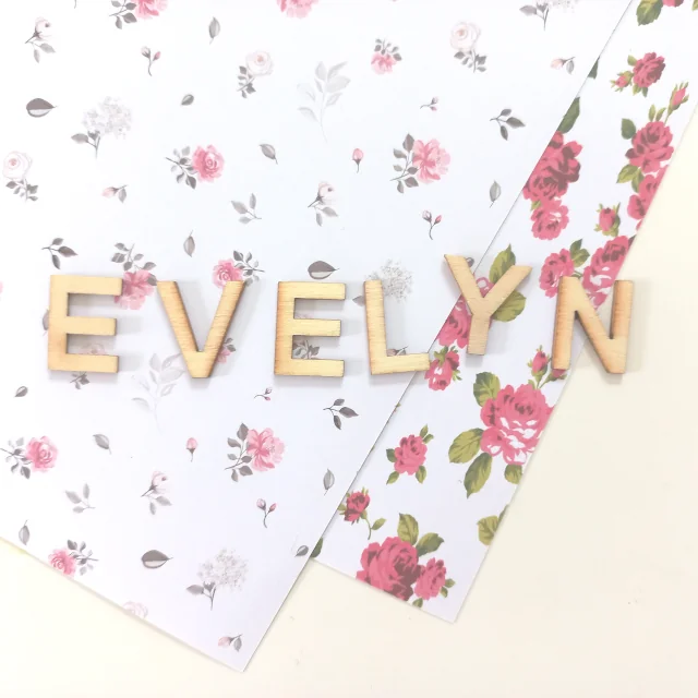 evelyn meaning